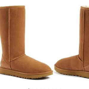 Brand new size 10 Tall Chestnut Uggs. Never worn unfortunately no box.